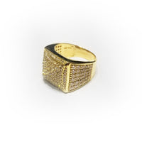 Iced Out Yellow Gold CZ Ring (14K)
