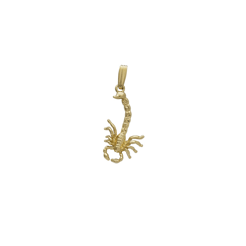 Textured Scorpion Pendant (14K)