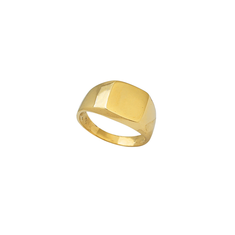 Solid Borderless Invisible Square Signet Ring (14K)