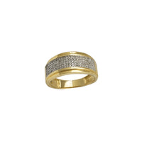 Diamond Micro-Pave Panel Band (14K)