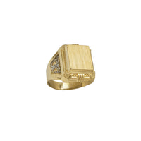 Fleur de Lis Brushed Finish Texture Rectangle Men's Signet Ring (14K)