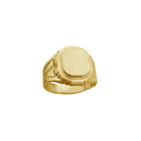 Brushed Finish Texture Men's Signet Ring (14K)