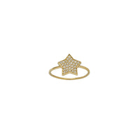 Zirconia Pave Star Lady Ring (14K)
