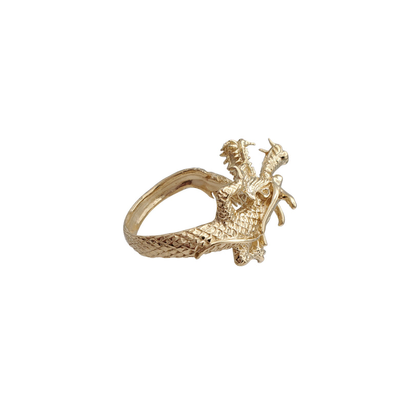 Textured Wrapped Dragon Ring (14K)