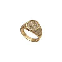 Iced-Out Oval Signet Ring (14K)