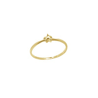Shining Little Star Ring (14K)