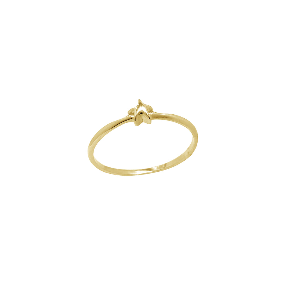 Shining Little Star Ring (14K)