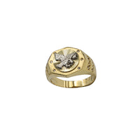 Zirconia Radiant Halo Flying Eagle Men's Ring (14K)