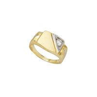 Zirconia Two-Tone Brush-Finish / Sand-Blast Regal Signet Ring (14K)
