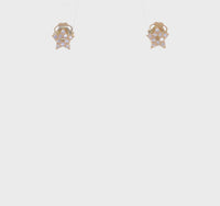 Mini Icy Star Stud Earrings (14K) 360 - Popular Jewelry - New York