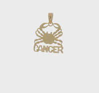 Cancer Zodiac Sign Flat Pendant (14K) 360 - Popular Jewelry - New York