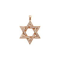 Diamond Star of David Pendant (14K) front - Popular Jewelry - New York