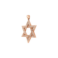 Partea cu pandantiv Diamond Star of David (14K) - Popular Jewelry - New York