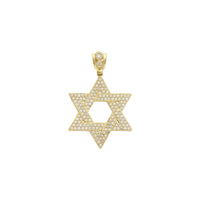 Iced- Out Classic Star of David Pendant (14K) front - Popular Jewelry - New York