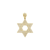 Iced- Out Classic Star of David-hanger (14K) voor - Popular Jewelry - New York