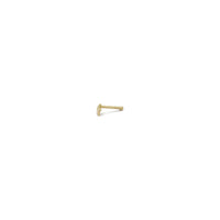 Star Nose Stud Piercing (14K)