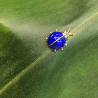 Lapis Lazuli Ladybug Diş Sırğalar (14K)