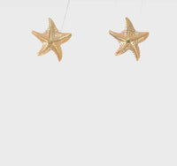 Starfish Friction Post Earrings (14K) 360 - Popular Jewelry - New York