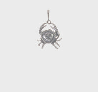 3-D Antique-Finish Cancer Zodiac Pendant (Silver)