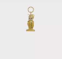Graduation Owl Enamel Pendant (14K) 360 - Popular Jewelry - New York