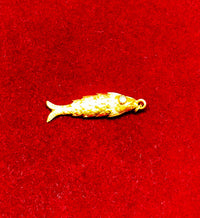 Golden Fish (18K).