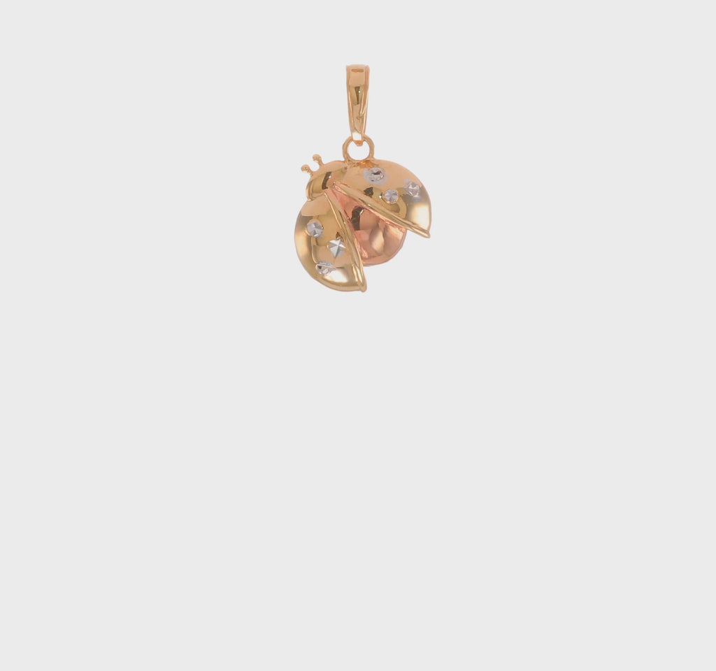 Tricolor Ladybug Pendant (14K) 360 - Popular Jewelry - New York