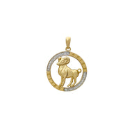 Pingente de medalhão com contorno de Áries (14K) Popular Jewelry New York