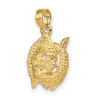 Textured Pisces Zodiac Pendant (14K)