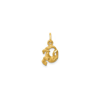 Satin Diamond-Cut Capricorn Zodiac Pendant (14K)