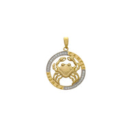 Liontin Medali Garis Besar Kanker (14K) Popular Jewelry NY