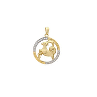 Pingente de medalhão com contorno Capricórnio (14K) Popular Jewelry New York