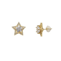 Cluster Star Stud Earring (14K) Popular Jewelry New York