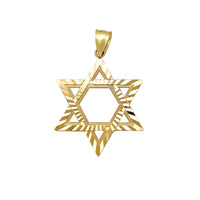 საშუალო ბრილიანტი ჭრის დავითის გულსაკიდის ვარსკვლავს (10K) Popular Jewelry ნიუ იორკი