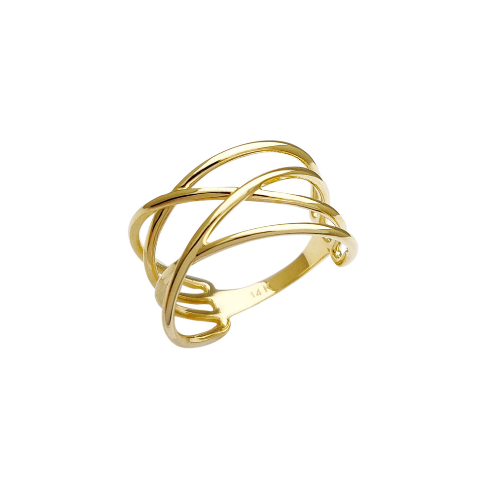 Entropic Interlocked Orbits Ring (14K)