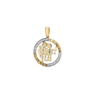 Garis Besar Zodiac Sign Medallion Pendant (14K)