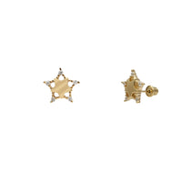 Zirconia Glossy Star Stud Earrings (14K)