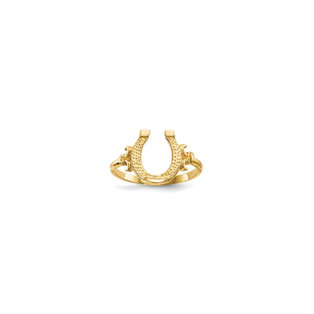 Horseshoe Ring (14K)