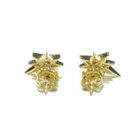 Belen Star Diamond Earring (14K)