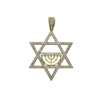 Iced-Out Star of David Pendant (14K) Popular Jewelry New York