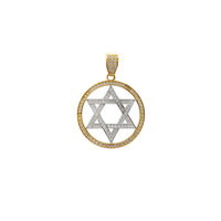 Medium Gréisst Icy Star of David Medaillon Pendant (14K) Popular Jewelry New York