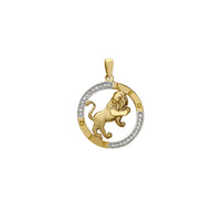 Leo Outlined Medallion Pendant (14K) Popular Jewelry New York
