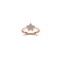 Diamond Micropave Star Ring (14K)