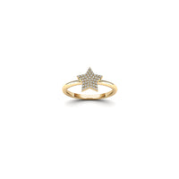 Diamond Micropave Star Ring (14K)