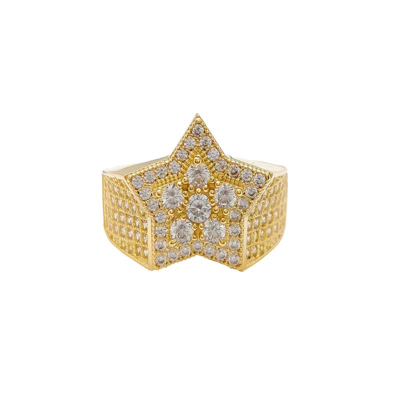 Iced-Out Permafrosted Star Ring (10K)