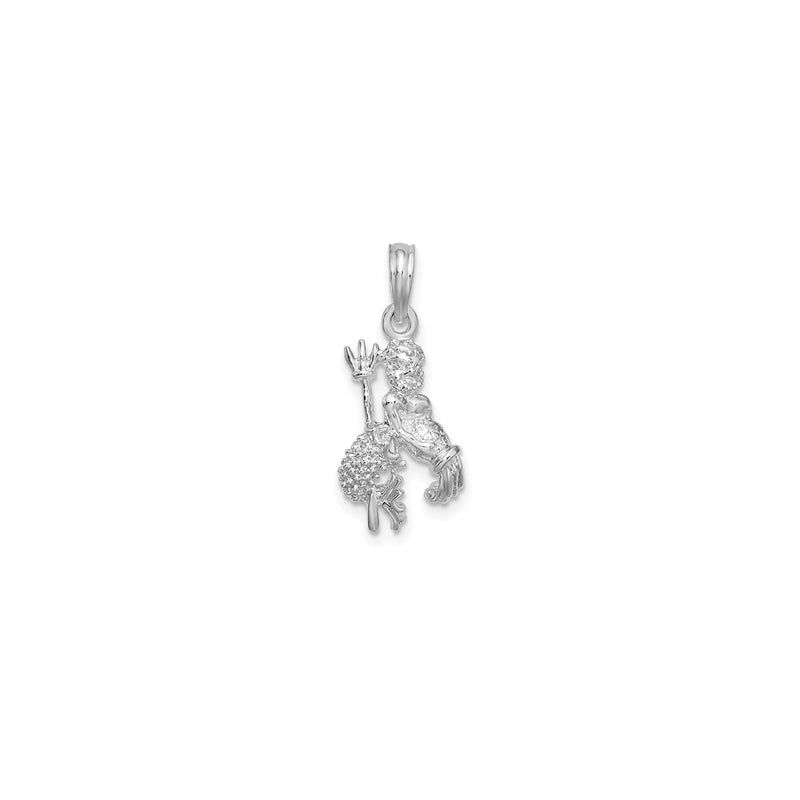 3-D Antique-Finish Aquarius Zodiac Pendant (Silver)