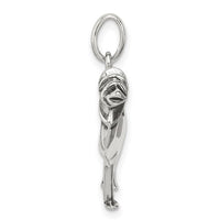 Antiqued Camel Pendant (Silver)