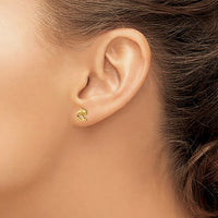 Dolphin Stud Earrings (14K)