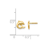 Dolphin Stud Earrings (14K)