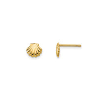 Shell Stud Earrings (14K)