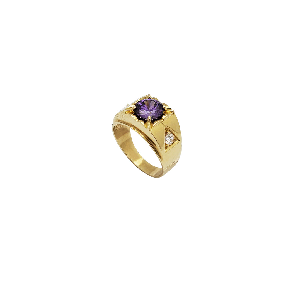 Setting Band CZ Ring (14K)